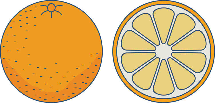 Whole and sliced orange fruit with yellow pulp and orange peel