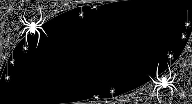 Halloween background with white spider webs and spiders on black background