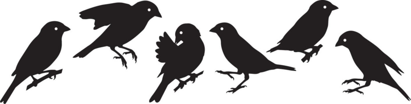 Black bird silhouettes collection, set of 6 sparrow and finch vector icons, flying and perching garden birds, minimalist avian nature graphics