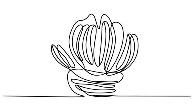 One continuous line illustration of an Aleo Vera , isolated on white background.	
