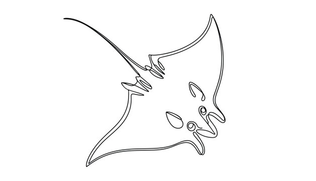 One continuous line illustration of an stingray , isolated on white background.	
