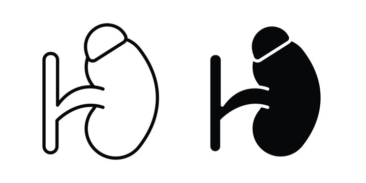 Adrenal gland icon vector design and illustration.