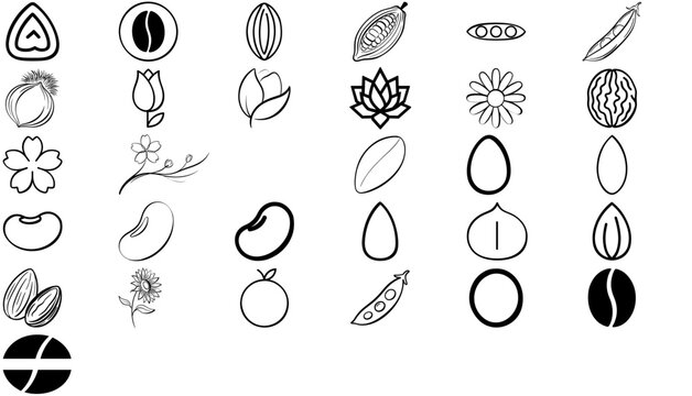 Premium collection of 31 nuts and seeds vector icons. This flat minimalist vector icon set bundle features organic almonds, walnuts, pumpkin seeds, and healthy dietary snacks for vegan nutrition.