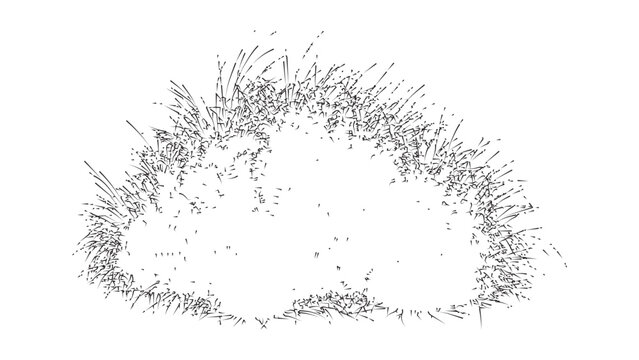 Abstract illustration of grass-like strokes forming an irregular oval on transparent background.