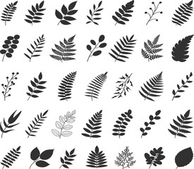 Fototapeta premium Large collection of black leaf silhouettes, various forest foliage icons and botanical floral elements isolated on white background vector