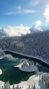 Lake Cauma Caumasee nature winter wonderland snow covered evergreen tree Switzerland