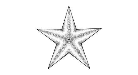 Obraz premium A black and white star is centered on a white background. The star is rendered in a detailed, textured style, resembling an engraving or drawing.