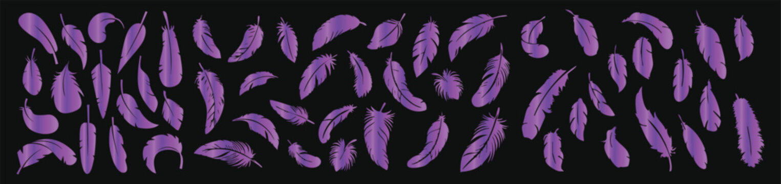 Hand drawn purple feather pattern vector artistic bird plume seamless abstract background design collection
