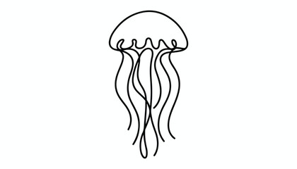 One continuous line illustration of an jellyfish , isolated on white background.   © line