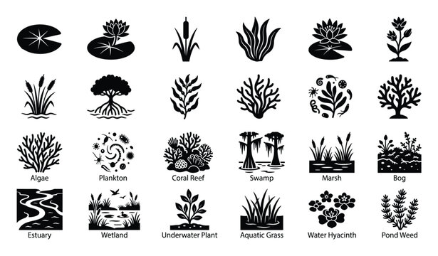 Aquatic plant and environment icons for nature conservation, wetland habitats, and ecology education