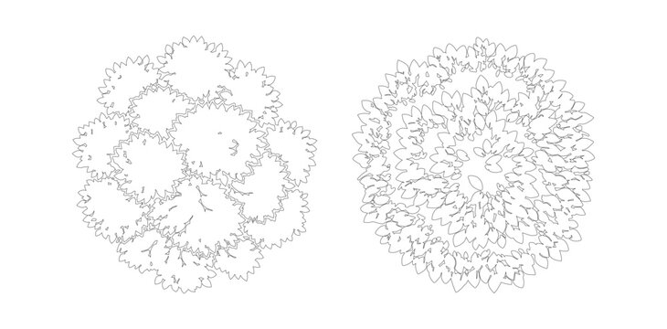 Architectural tree plan symbols, top view landscape design elements, minimalist black and white vector foliage for site mapping and garden planning