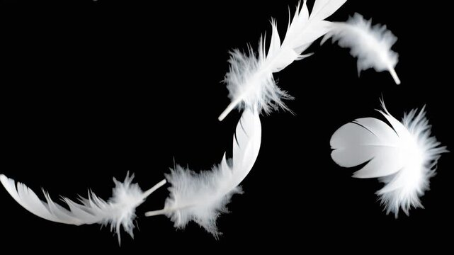 A dynamic 3D motion graphic animation showcasing lightweight, fluffy white bird feathers falling down smoothly or floating through mid-air. Placed against a clean solid black background, ideal for dre