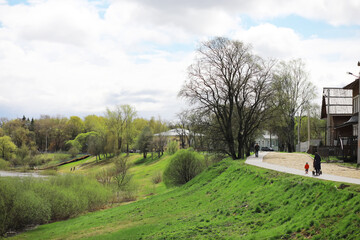 Fototapeta premium Springtime Stroll in Picturesque Park