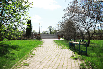 Fototapeta premium Sunny Park Pathway with Greenery and Empty Bench in Spring