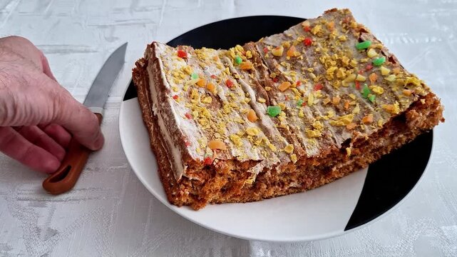 Rectangular layered cake with cream and pastry topped with crumbs and colorful candy pieces on a patterned plate, highlighting texture, decoration, and festive dessert appeal