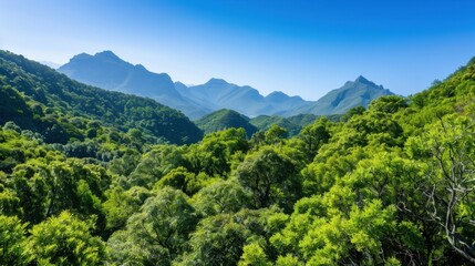 Obraz premium Lush Green Mountains Under Clear Blue Sky with Scenic Valley View in a Peaceful Natural Landscape