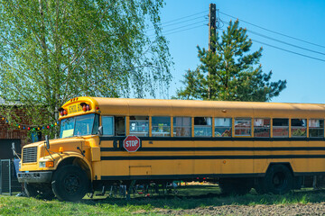 Classic yellow American school bus parked on a grassy area under trees, visible STOP sign on the side of the vehicle, black rim and bumper details, green birch, pine, and clear blue sky in the backgro © Adam