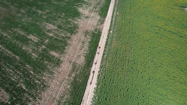 Aerial view of agricultural fields and a dirt road near the prehistoric Solnitsata site with people walking Provadia, Varna, Bulgaria.