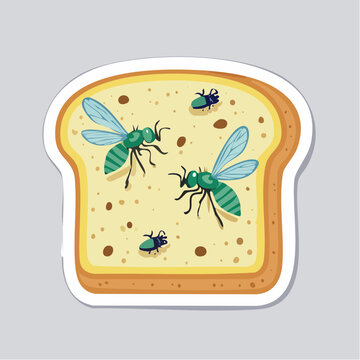 Flies on a Slice of Bread