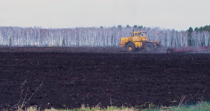 Modern farming. A yellow tractor expertly plows the field. The contrasting colors of soil and crop form a stunning tapestry, illustrating the harmony between man and the land in agriculture.