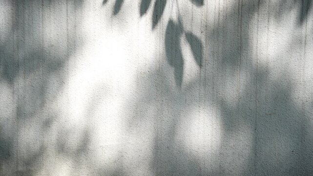 The mottled light and shadow on the wall