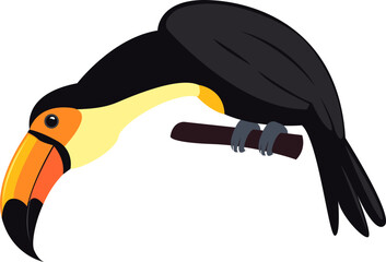 Obraz premium Toucan Bird Illustration