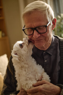 Vertical shot of senior Caucasian man cuddling small dog, receiving affectionate lick on face, showing companionship and pet bonding. Useful for senior lifestyle, pet care, home living marketing
