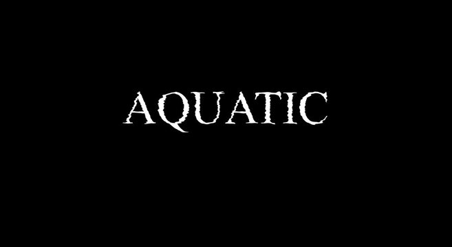 Aquatic typography motion for modern digital branding animation