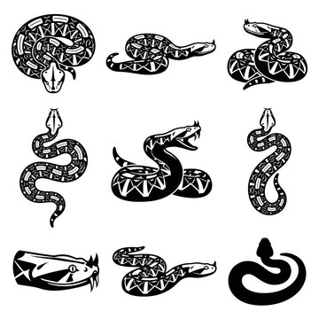 Black and white vector silhouette set of Gaboon Viper.