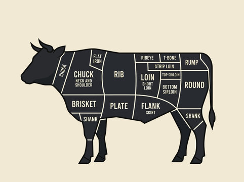 Modern Butcher Beef Cuts Chart Silhouette - Comprehensive Meat Cut Guide for Steak, Ribeye, Brisket, and Sirloin on a Minimalist Background