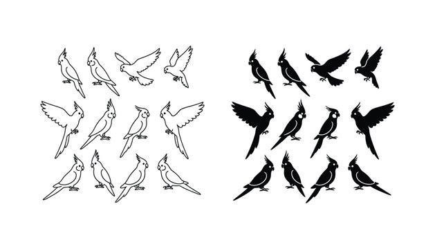 Cockatoo parrot icon set with outline and solid black silhouettes for bird watching and tropical pet graphic design