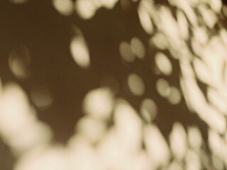 Abstract light and shadow texture with soft bokeh on a warm surface, dappled sunlight effect, natural pattern background © suciramadhani