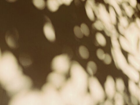 Abstract light and shadow texture with soft bokeh on a warm surface, dappled sunlight effect, natural pattern background
