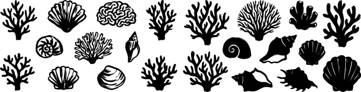 Collection of black silhouette coral and seashell illustrations on a white background