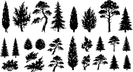Collection of various coniferous tree silhouettes in black and white © Annamorphosis