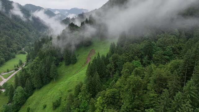 Drone aerial footage flying over alpine road in Slovenia Alps, during cloudy summer day with scenic peaceful mountains forest and natural calm atmosphere of travel
