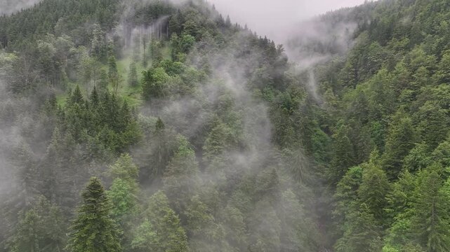 Drone aerial footage flying over alpine road in Slovenia Alps, during cloudy summer day with scenic peaceful mountains forest and natural calm atmosphere of travel