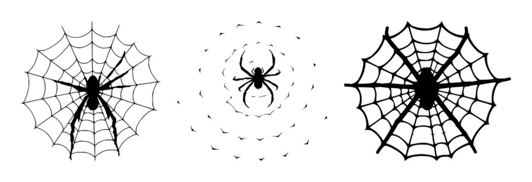 Spider web set with black silhouette on white background featuring patterns, geometry, intricate lines with minimalist and abstract