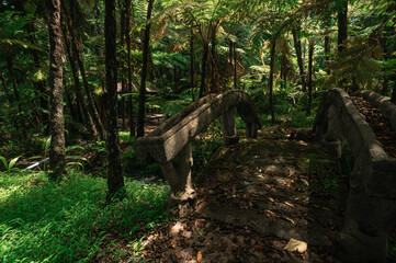 Fototapeta premium Serene Waterfall Scene in Woodland of Chiang Mai, Thailand