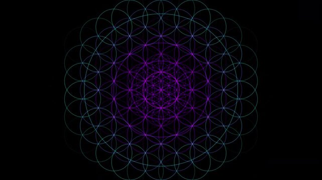 Premium 4K seamless loop of Vishuddha throat chakra Flower of Life sacred geometry breathing with a deep rhythmic pulse in a true black void. Ideal for VJ sets, trance visuals, meditation, and yoga.