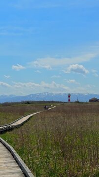 北海道はまなすの丘の春