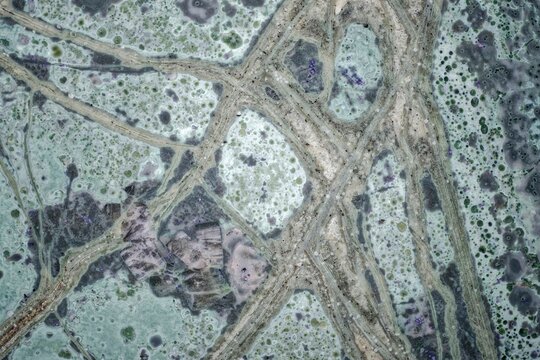 Macro thin section of unique tinguaite from Khibiny. Polished surface shows violet aegirine zones, light green nepheline matrix, lilac fluorite, and rare spotted-bubbly texture. Field of view 15 mm