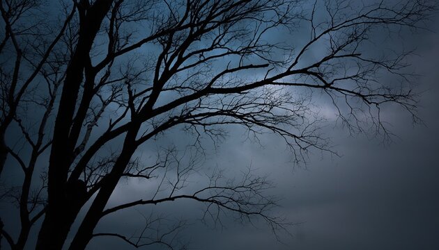 Silhouette of leafless tree branches against a dark moody overcast sky at twilight. Cold somber atmosphere with deep blue and grey tones in a winter forest setting at night.