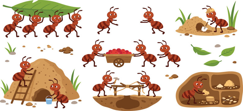 Hardworking ant colony cartoon character set featuring ants building anthill carrying leaf and working together vector illustration
