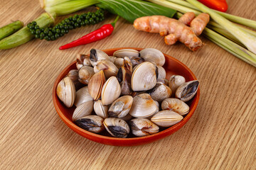 Raw fresh wild clams mollusc © Andrei Starostin