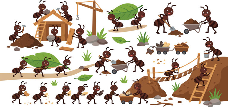 Industrious cartoon ant builders construction set with ants building house using crane and teamwork vector illustration