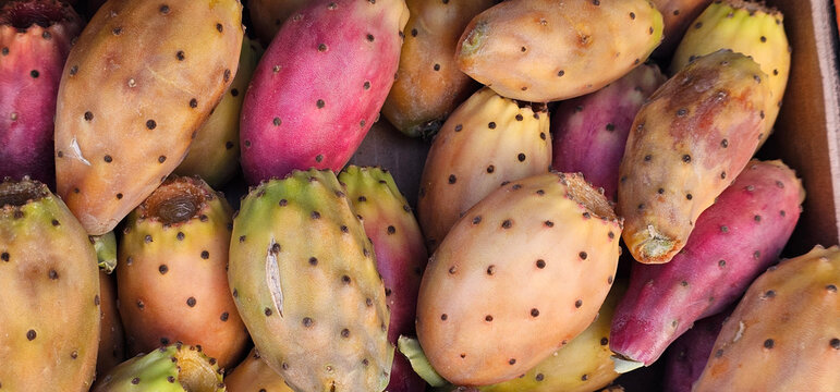 Fresh prickly pears packed closely together showing mixed yellow green and pink skins with tiny spines and natural surface marks typical of Spanish market fruit variety