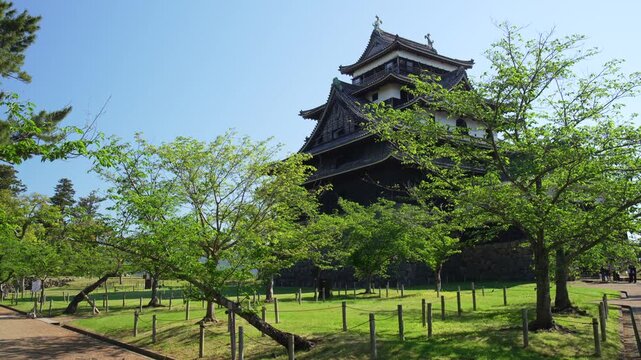 島根県松江市の5月の春の松江城山公園と青空_10bit_4:2:2
