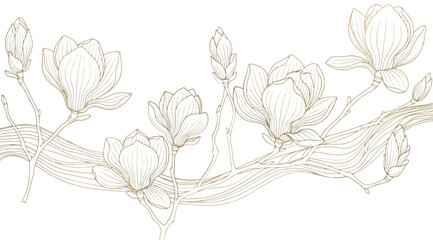 Elegant handdrawn magnolia flower branch with blooming flowers and buds, botanical line art illustration © Saharia