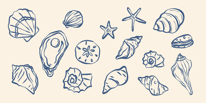 Hand drawn blue seashells and starfish collection